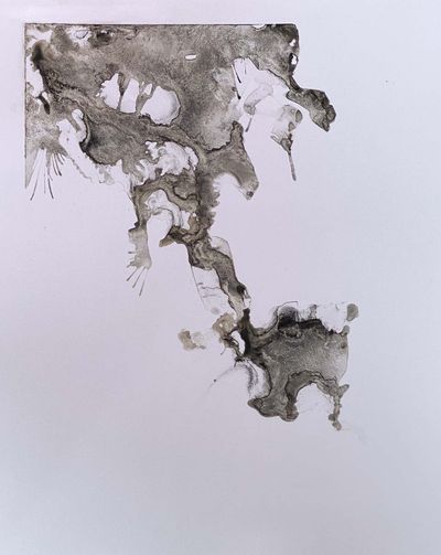 Untitled Idiopathic Encounter #1