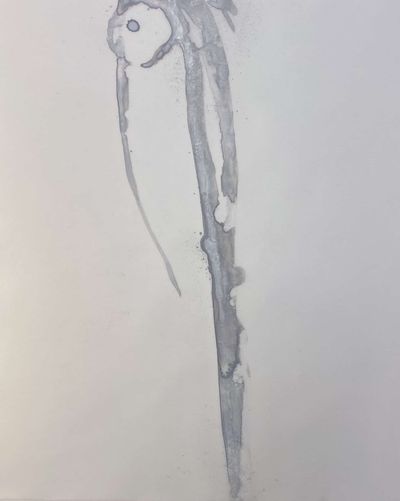 Illusory Leavings #2